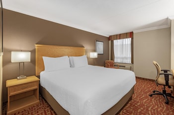 Standard Room, 1 King Bed, Non Smoking
