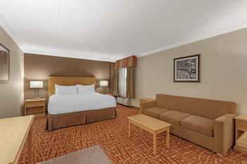 Business Room, 1 King Bed, Non Smoking, Jetted Tub (with Sofabed)