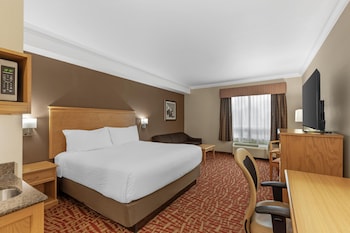 Standard Room, 1 King Bed, Non Smoking, Refrigerator (with Sofabed)