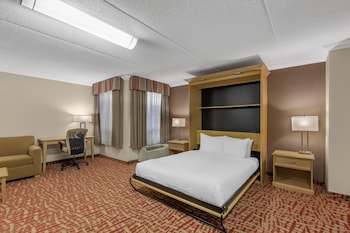 Standard Room, 1 Queen Bed, Accessible, Non Smoking (with Sofabed)
