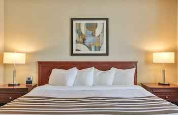 Standard Room, 1 Queen Bed, Non Smoking, Refrigerator (with Sofabed)
