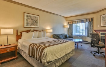 Standard Room, 1 Queen Bed, Non Smoking, Refrigerator (with Sofabed)