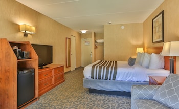 Standard Room, 1 Queen Bed, Non Smoking, Refrigerator (with Sofabed)