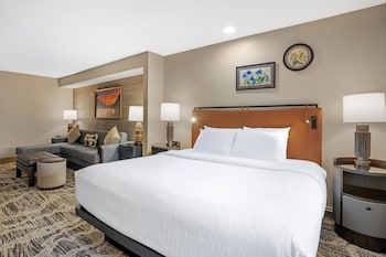 Standard Room, 1 King Bed, Non Smoking, Refrigerator & Microwave