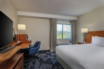 Room, 1 Queen Bed, Accessible Bathtub