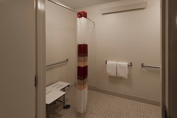 Deluxe Room, 1 King Bed, Accessible, Non Smoking (Roll-In Shower)