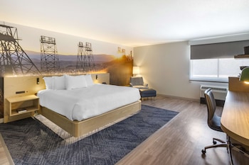 Standard Room, 1 King Bed, Non Smoking (No Pets in room type;Oversized Room)