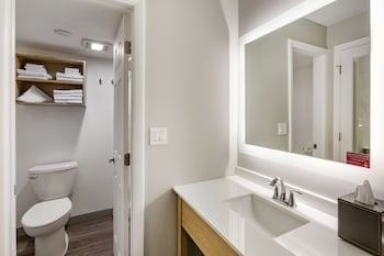 Standard Room, 1 King Bed, Non Smoking, Refrigerator & Microwave (Shower Only;No Pets in room type)