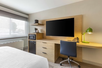 Standard Room, 1 King Bed, Non Smoking, Refrigerator & Microwave (Shower Only;No Pets in room type)