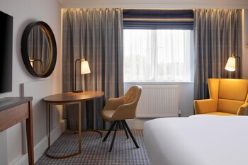 Room, 1 King Bed