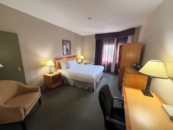 1 King Bed, Superior Room, Non-Smoking, No Pets