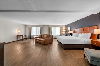 Deluxe Suite, 1 King Bed with Sofa bed, Non Smoking