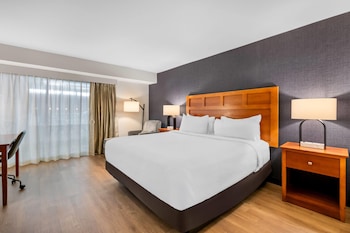 Room, 1 King Bed, Accessible, Non Smoking (PoolSide, Hearing, Roll-in Shower)