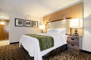 Room, 1 Queen Bed, Accessible, Non Smoking