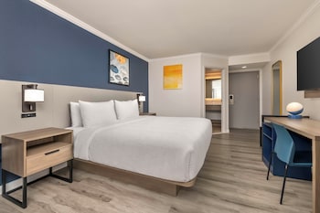 Room, 1 King Bed