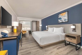 Room, 1 King Bed