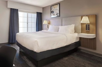 Room, 1 King Bed