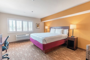 Business Single Room, Microwave, Ground Floor