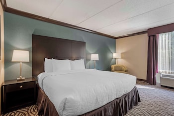 Standard Room, 1 King Bed, Accessible, Non Smoking