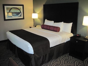 Standard Single Room, 1 King Bed, Roll-in Shower