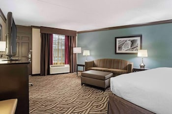 Standard Suite, 1 King Bed with Sofa bed