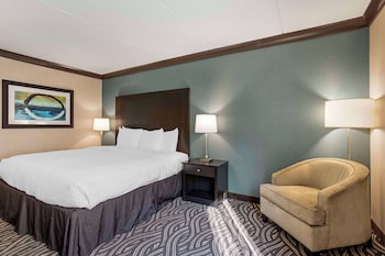 Standard Room, 1 King Bed, Accessible, Non Smoking