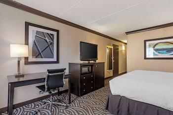 Standard Room, 1 King Bed, Accessible, Non Smoking