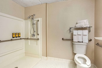 Standard Room, 1 King Bed, Accessible, Non Smoking