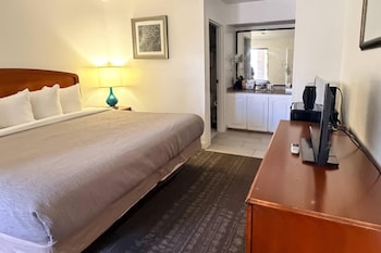 Standard Room, 1 King Bed, Non Smoking