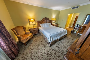 Room, 1 King Bed, Non Smoking
