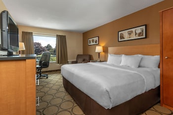 Comfort Care, Deluxe Room, 1 Queen Bed with Sofa bed, Refrigerator & Microwave
