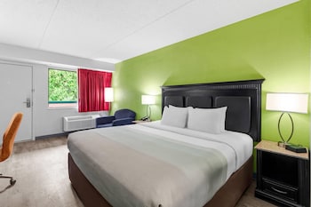 Standard Room, 1 King Bed, Non Smoking