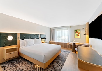 Deluxe King Room with One King Bed