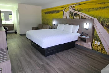 Room, 1 King Bed with Sofa bed, Non Smoking
