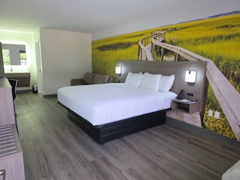 Room, 1 King Bed with Sofa bed, Non Smoking