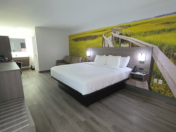 Room, 1 King Bed with Sofa bed, Non Smoking