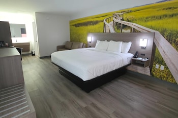 Room, 1 King Bed with Sofa bed, Non Smoking