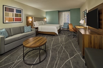 Suite, 1 King Bed with Sofa bed
