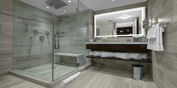 Suite, 1 Bedroom (Manhattan Floor)