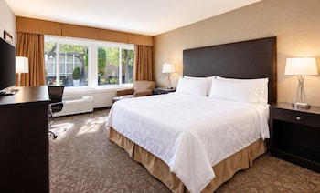 Premium Room, Hearing Accessible