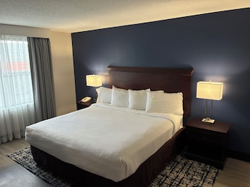 Deluxe Suite, 1 Bedroom