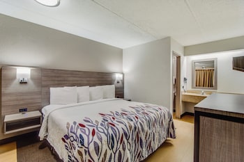Standard Room, 1 King Bed (Smoke Free)