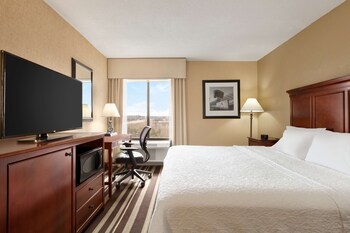 Room, 1 King Bed, Accessible