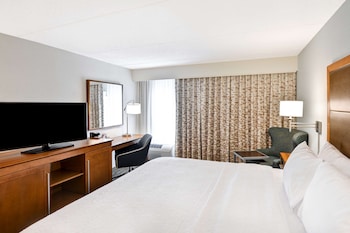 Room, 1 King Bed, Non Smoking