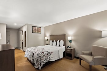 Deluxe Room, 1 Queen Bed, Accessible (Smoke Free)