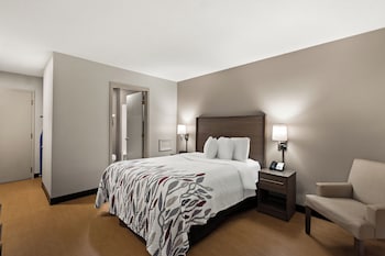 Deluxe Room, 1 Queen Bed with Sofa bed (Smoke Free)