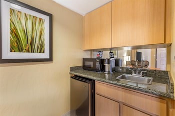 Suite, 1 King Bed, Non Smoking, Balcony (with Sofabed)