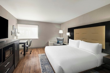 Suite, 1 King Bed with Sofa bed