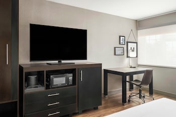 Suite, 1 King Bed with Sofa bed