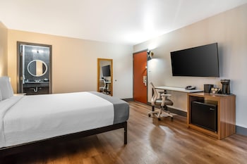 Standard Room, 1 King Bed, Non Smoking (Large Room)